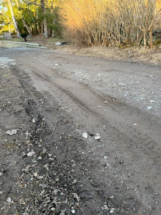Grusad uppfart med djupa hjulspår och grenar på marken, omgiven av buskar och träd i bakgrunden en solig dag.