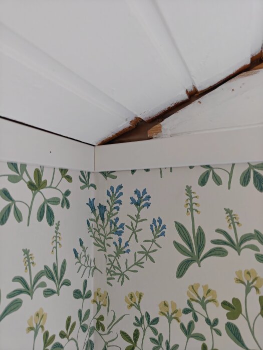 Snedtak där lister möts i hörnet, med blommig tapet och rumstak i träpanel. Synlig glipa i taket där hålkärlslist planeras.