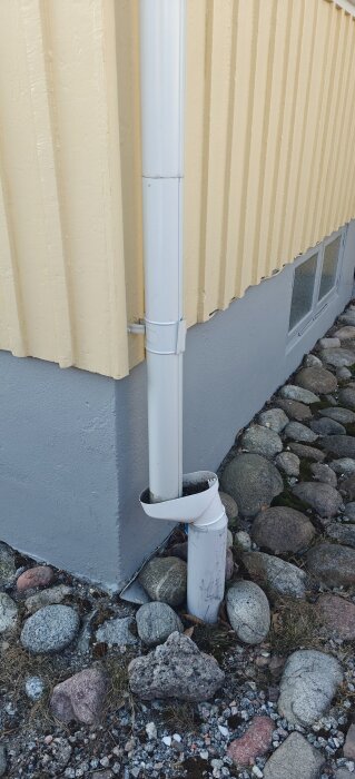 Vit stuprör från en gul fasad går ner i en öppen dräneringsrörsdel nära en grus- och stenbelagd mark.
