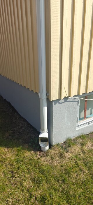 Vit stuprör längs en gul yttervägg, stuprörets utkastare leder mot gräsmattan, nära en betonggrund.