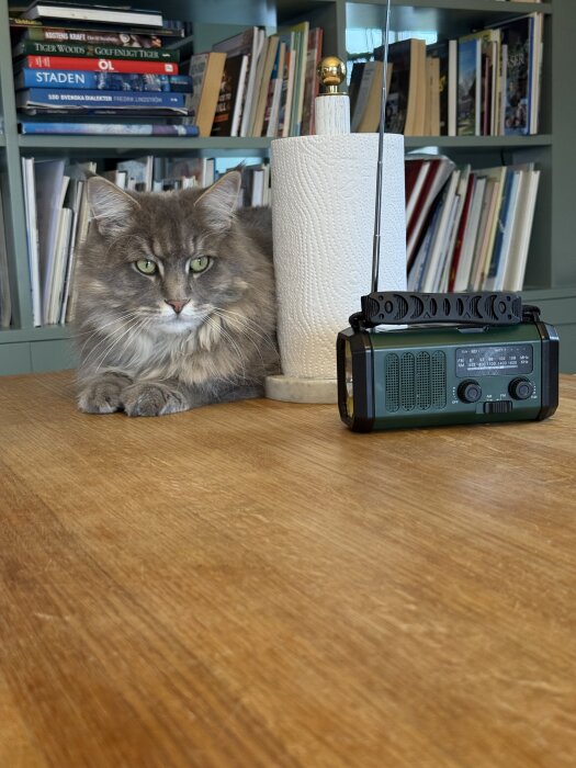 Katt lyssnar på radio vid ett köksbord, bokhylla i bakgrunden.