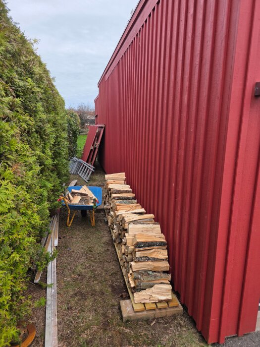 Ved staplad på trall bredvid en röd fasad, skottkärra med träbitar i närheten, omgiven av buskar och byggmaterial längs marken.