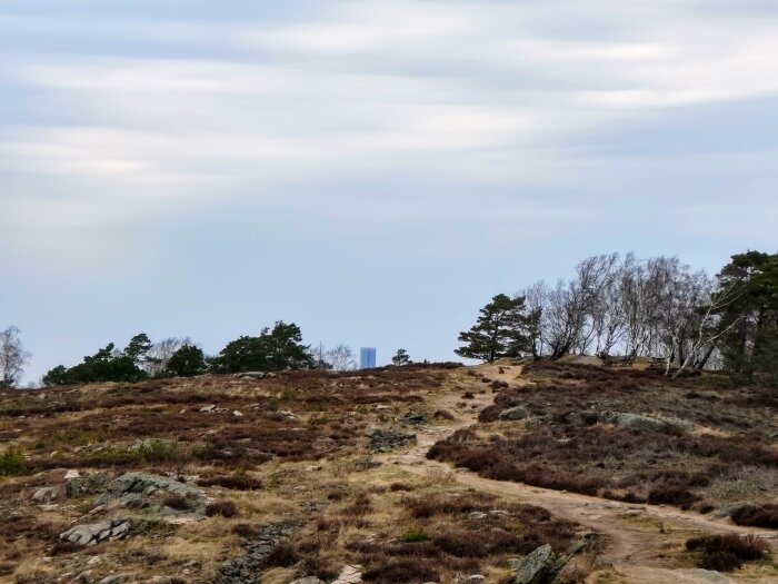 Stig genom kargt landskap med stenar och träd, med en blå byggnad synlig i horisonten under molnig himmel.