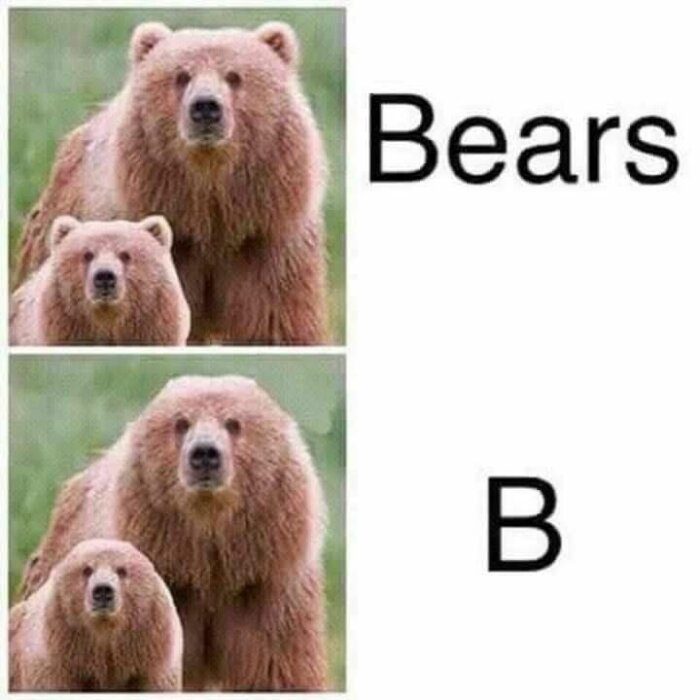 Bilder på en björn och en björnunge. Två bilder jämförs, första med texten 'Bears' och andra utan 'ears', endast 'B' kvarstår.