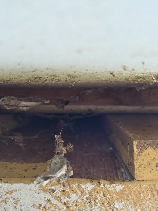 Närbild av träreglar och isoleringsmaterial i en husfasad, med en synlig springa mellan reglarna där panelen möter grundstrukturen.