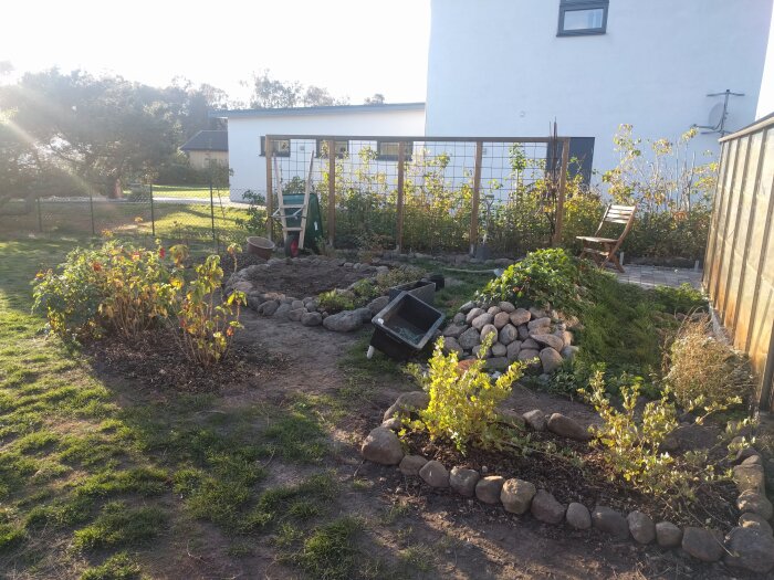 Trädgård med björnbärsbuskar mot spaljé, en grushög med stenar, samt en stol och en skottkärra i bakgrunden.