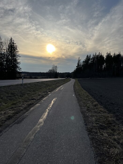 Cykelväg i solnedgång med tallskog på höger sida och åker på vänster, under delvis molnig himmel.