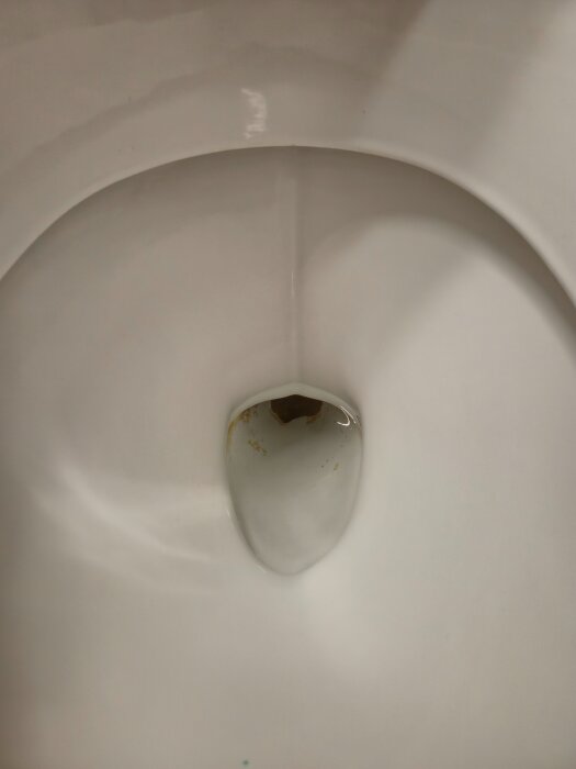 Toalett med bevis på kalkavlagringar och rostfläckar i botten.