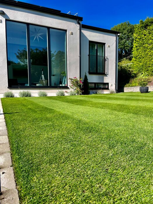 Modern villa med stora fönster och solig trädgård med välskött gräsmatta och buskar, blå himmel i bakgrunden.