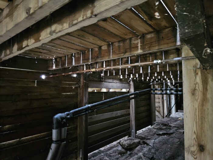 Underjordiskt rum med träbjälkar, rörsystem och synliga träväggar, med jordigt golv och varierande ljusinsläpp genom springor.