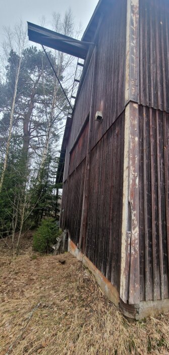 Gammal lada med träväggar, muren längst ner visar slitage, omgiven av skog. Vinkeln visar gaveln där det finns ventilation.