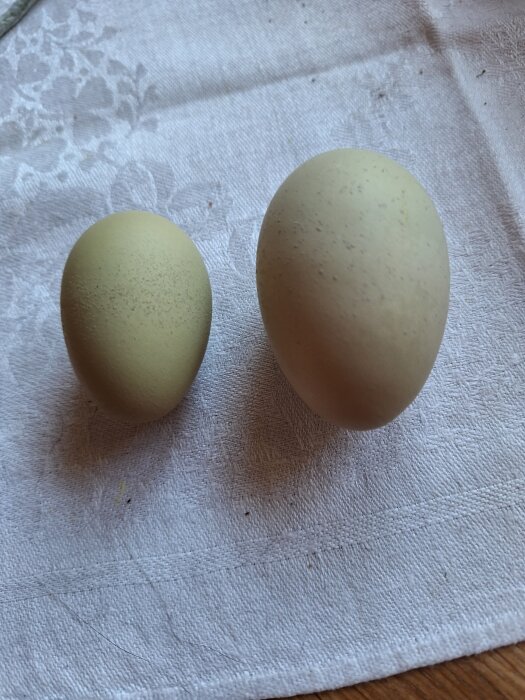 Två ägg på en vit duk, det ena större än det andra. Ett av äggen har en normal storlek och vikt på 54 gram.