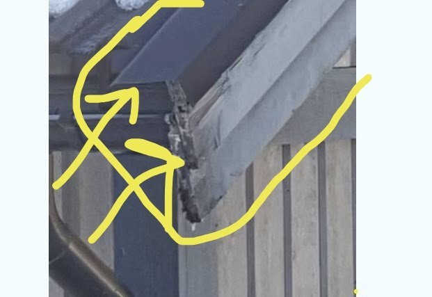 Skadat takområde, markerat med gula pilar, som visar potentiellt slitage eller skada på trädetalj nära ett takhörn.