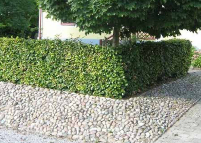 kullersten-cementblandadfogsand.jpg