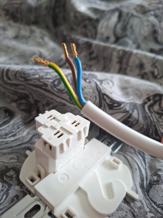 image-4108286058394454484.jpg