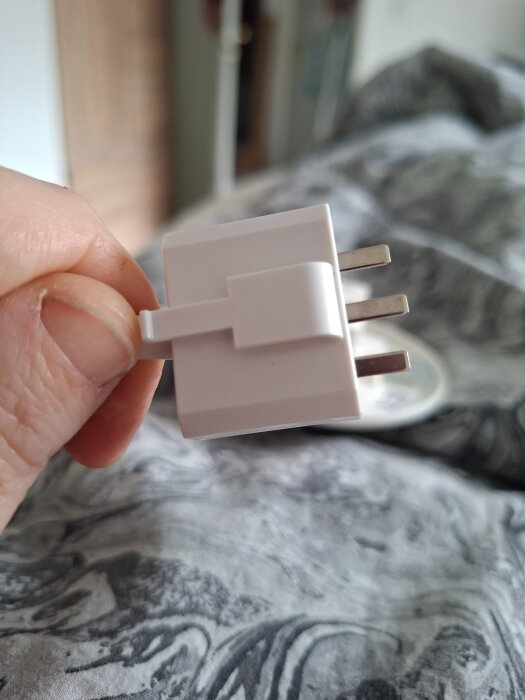image-2421642580340946778.jpg
