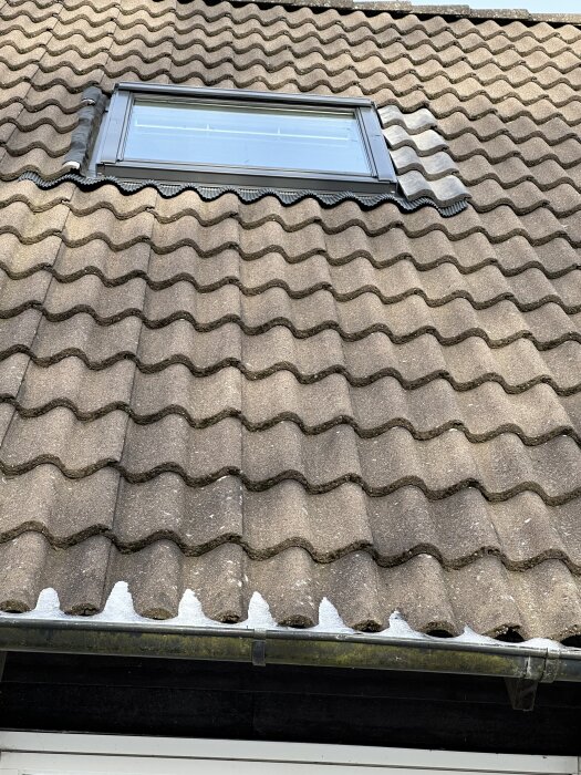 IMG_3102.jpeg