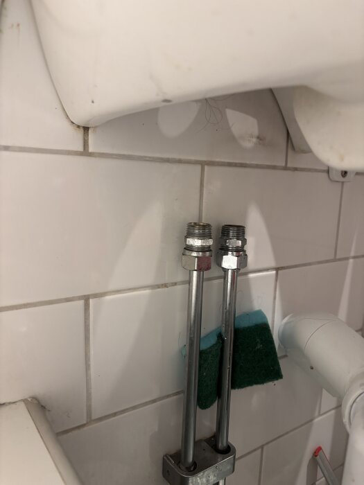 IMG_5002.jpeg