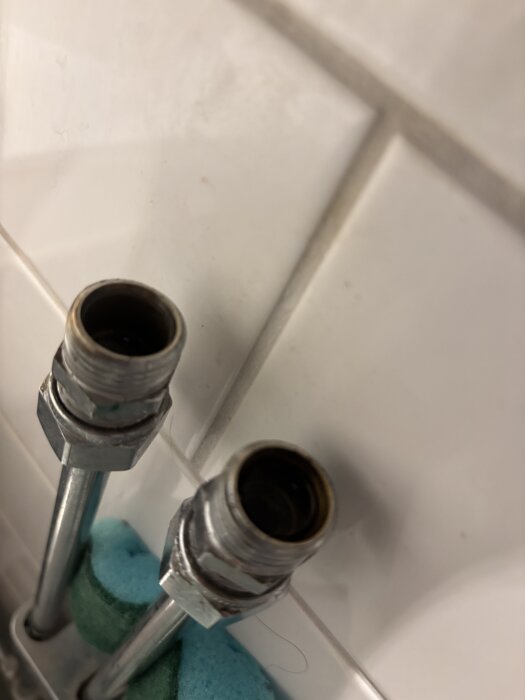 IMG_5004.jpeg