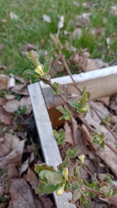 wx_camera_1776358528401.jpg