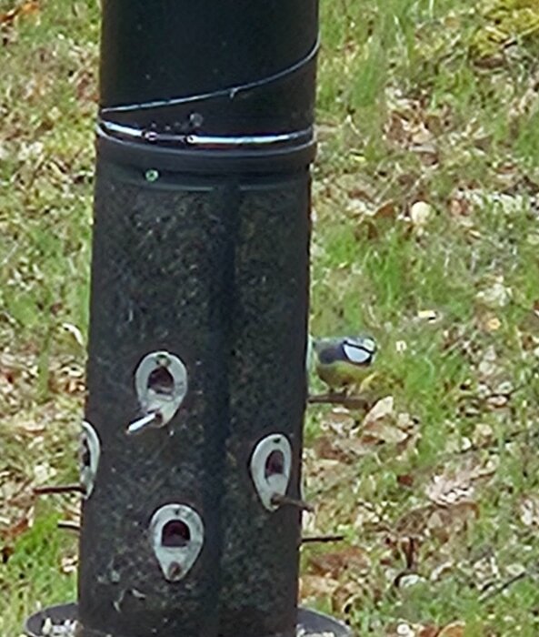 20260419_081548.jpg