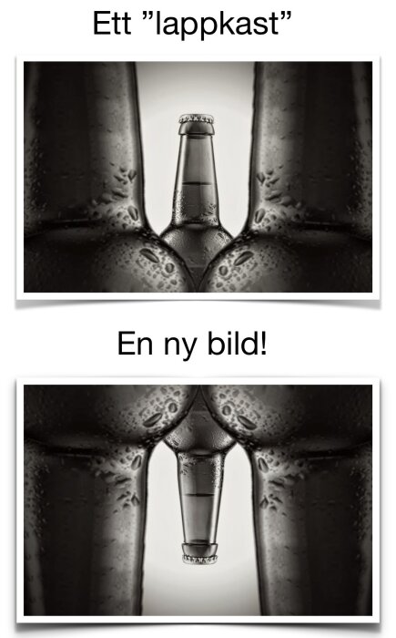IMG_3105.jpeg