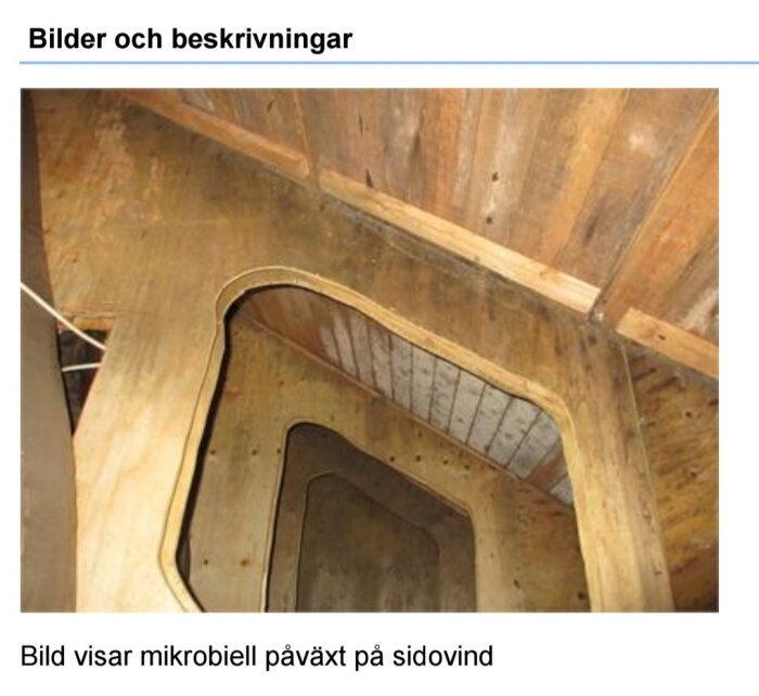 Screenshot_20260419_125623_Chrome~2.jpg