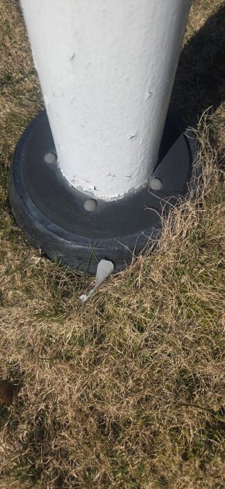 20260420_120720.jpg