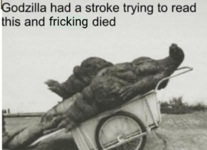 IMG_2385.jpeg