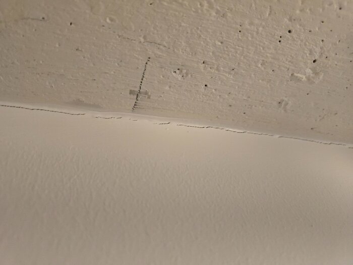 20260301_001500.jpg