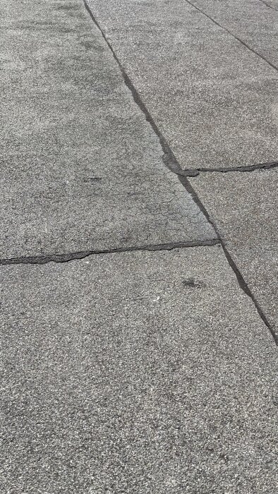IMG_6334.jpeg