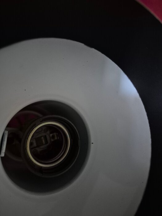 20260422_184246.jpg