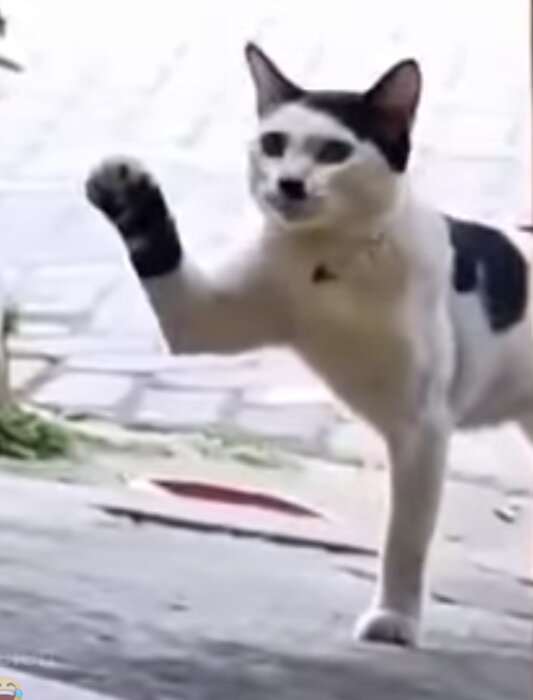 Screenshot_20260421-100609.png