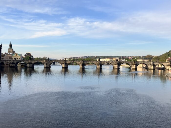 IMG_6163.jpeg