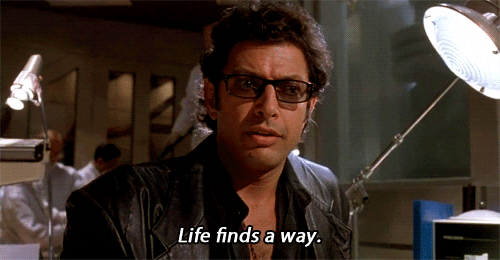 jurassic-park-life-finds-a-way-th5gz084n0fsr79r-3906054225.gif