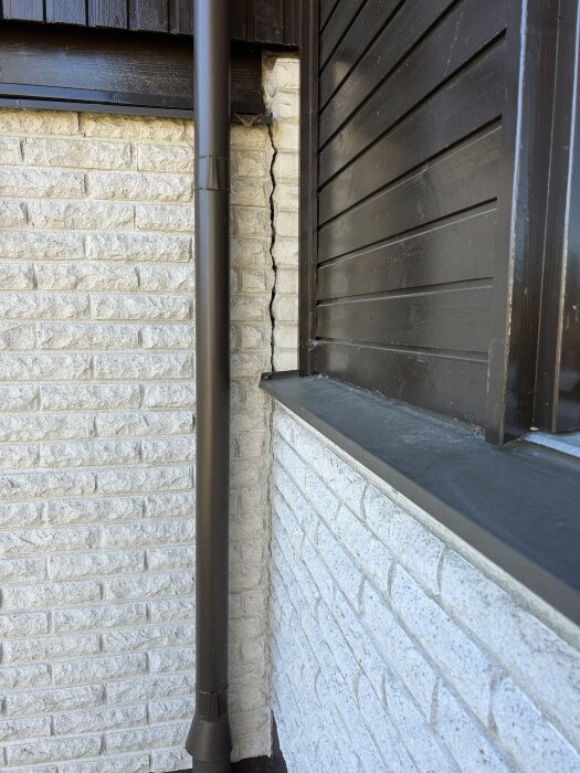 IMG_1584.jpeg