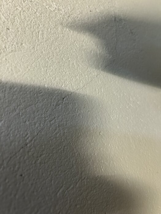 IMG_1586.jpeg