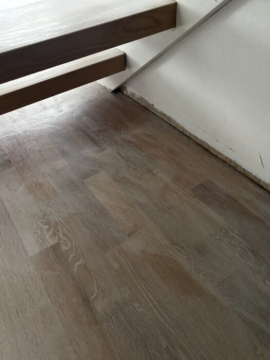 IMG_4402.jpeg