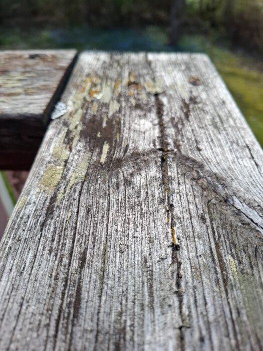 20260425_104147.jpg