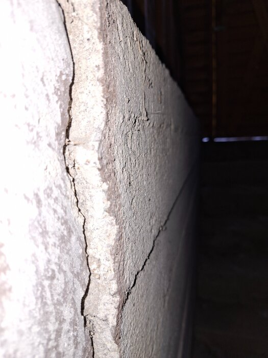 20260121_133916.jpg