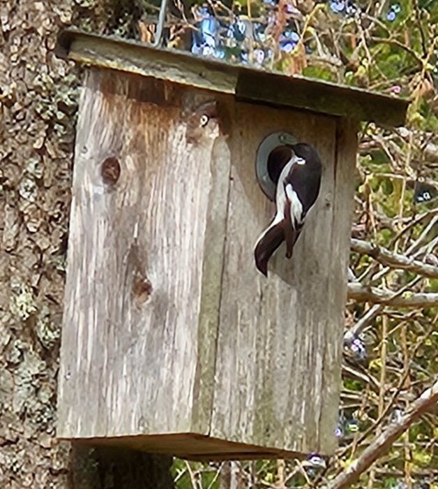 20260425_134224.jpg