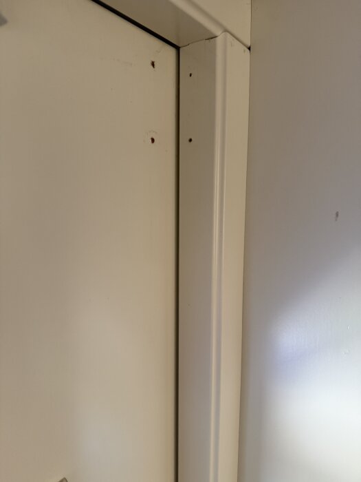 IMG_0848.jpeg