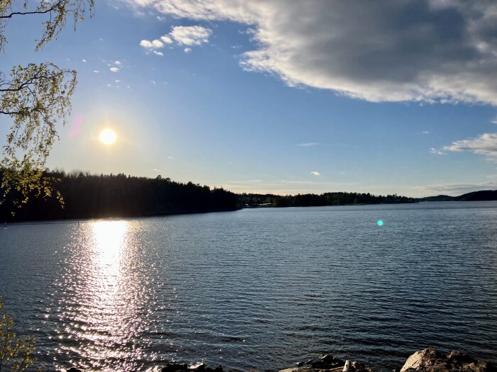 IMG_6196.jpeg