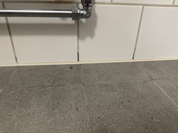 dusch1.jpeg