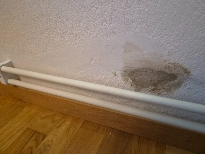 20260501_121831.jpg