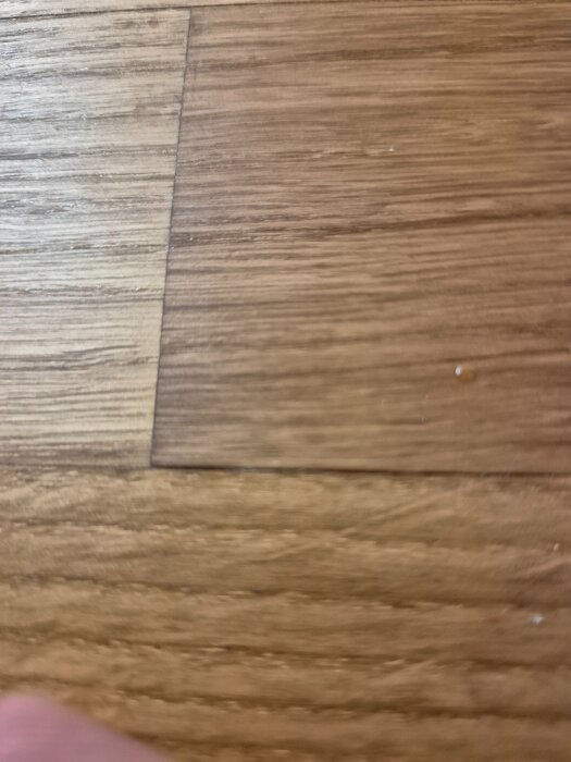 20260415_081707.jpg