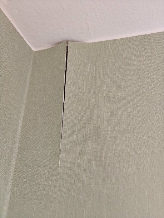 IMG20260502135126.jpg