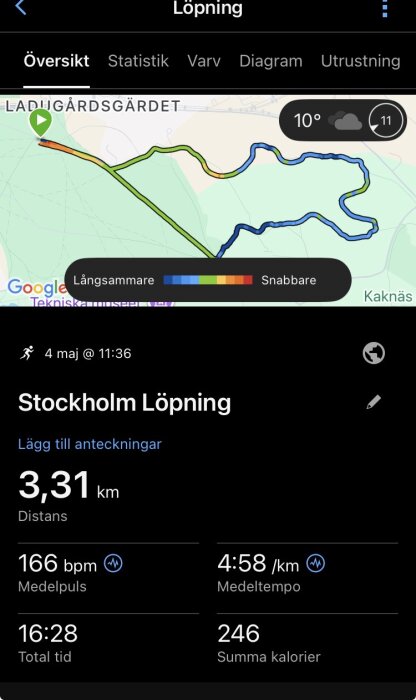IMG_6231.jpeg
