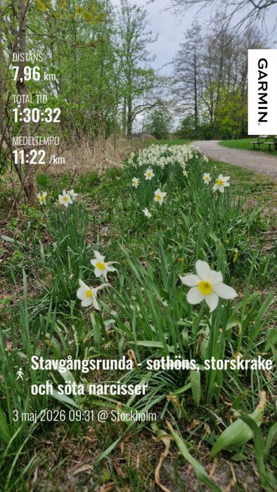 GarminConnect_20260504-202130.png