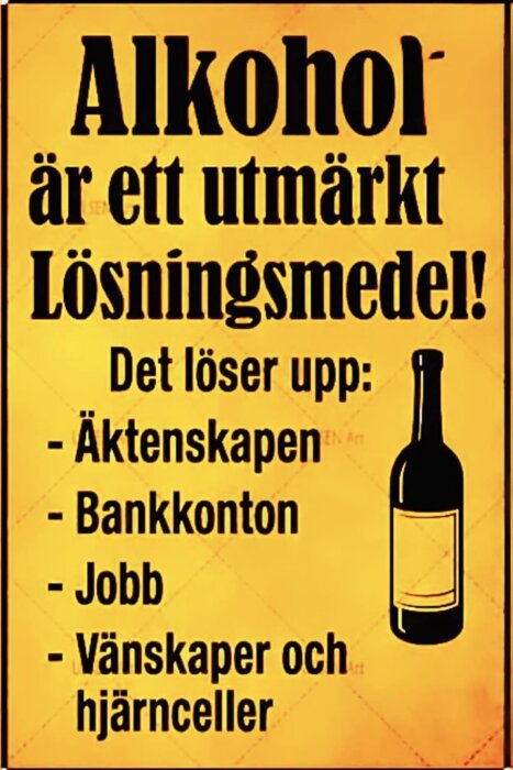 Bild.jpg